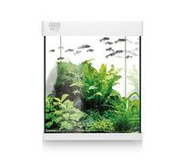 ICA KNA10 Kit Acuario Nano Aqua LED 10 litros Blanco, 20,7x20,7x26 cm, Filtro Interno, Iluminación LED, Alimento para Peces, Acondicionadores, Guía Práctica del Acuario