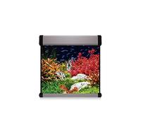 ICA KXPCU6P Kit Aqua Lux Pro 190 con Filtro Exterior, Plata