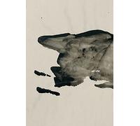 Ícaro (SIN COLECCION)