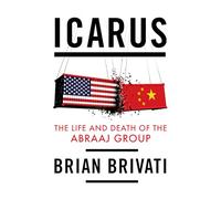 Icarus: The Life and Death of the Abraaj Group