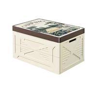 ICDKOYK Caja de almacenamiento plegable resistente para exteriores con gran capacidad para ordenar espacios mientras acampa o en casa. Comida, incluida ropa, Beige, Impreso en tamaño mediano