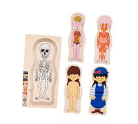 ICDKOYK Rompecabezas de para Madera para niños, Juguetes educativos para el Aprendizaje cognitivo del Cuerpo Humano, Regalos de cumpleaños para niños en Edad Preescolar. , Chica , 30x15x1.3cm