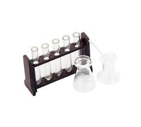 ICDKOYK Tubo de ensayo de Laboratorio Ciencias Juguete en Miniatura Modelo 1/12, complemento Esencial para decoración en Miniatura casa muñecas, Altos Detalles y Mano Obra Fina. Todos los