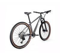 ICe Bicicleta de montaña MT10 Cuadro de Fibra de Carbono, Rueda 29', monoplato, 12V (Gris, 15')