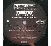 Ice Cube - AmeriKKKa's Most Wanted