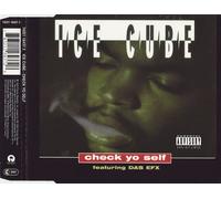 Ice Cube - Check yo self (feat. Das Efx)