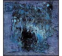 Ice Dragon - The burl, the earth, the aether