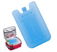 Ice Packs for Air Cooler, Portable Freezer Blocks, 4.53 Inches, High Expansion Cooling Accessories, Features Reusable Design and Long Lasting Chill, for Drink Breast Food Camping