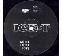 ICE T / GOTTA LOTTA LOVE