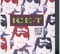 Ice T - Gotta Lotta Love