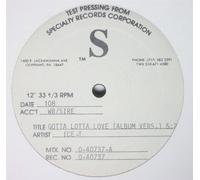 Ice-T - Gotta Lotta Love