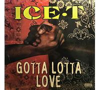 Ice-T - Gotta Lotta Love [Vinilo]