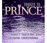 Ice-t / Heaven 17 / Dead Or Alive / Gary Numan / uvm. - Tribute To Prince