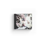 Iceage For Love of Grace & the Hereafter (CD) Album (Importación USA)