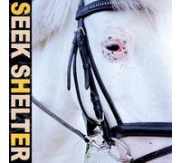 Iceage - Seek Shelter