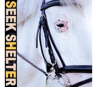 Iceage - Seek Shelter [Vinilo]