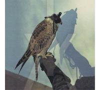 Iceage You're Nothing (Vinyl) 12" Album