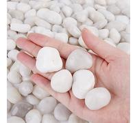 ICEBLUEOR Piedras blancas decorativas de 2.2 libras, grava pulida natural, piedras blancas para jardín, acuario, pecera, estanque, macetas, rellenos de jarrones, paisajismo (2-3 cm)
