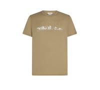 ICEBREAKER Camiseta funcional de hombre Massif Trail 150 Tech beige | M