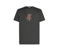 ICEBREAKER Camiseta funcional de hombre Merino 150 Tech Lite Bear Catch gris | M