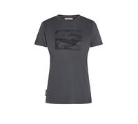 ICEBREAKER Camiseta funcional de mujer Lake View 150 Tech-Lite gris | S