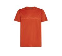 ICEBREAKER Camiseta funcional para hombre Mount Pulse 150 Tech cobre | S