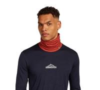 Icebreaker Unisex Merino 200 Oasis Flexi Chute Agate - -
