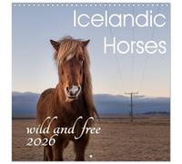 Icelandic Horses - wild and free (Wall Calendar 2026 12" x 24" / 30 x 60 cm (open)) CALVENDO 12 Month Wall Calendar