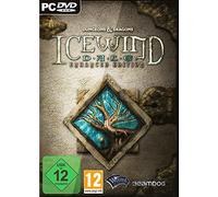 Icewind Dale: Enhanced Edition [Importación Alemana]