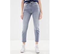 Ichi Ihtwiggy Raven 30 Gris