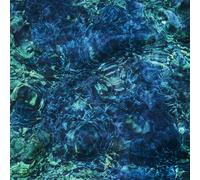 Ichiko Aoba - Luminescent Creatures [Vinilo]