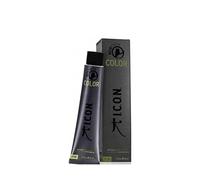 ECOTECH COLOR natural color #10.0 natural platinum