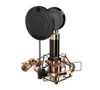 iCON Pro Audio Aurora - Micrófono de condensador, cardioide, rango dinámico de 125 dB, carcasa metálica