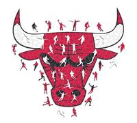 Iconic Puzzles - Chicago Bulls, Logo, Puzzle de Madera con Licencia Oficial de la NBA, 100% Sostenible, Talla L, 500 Piezas