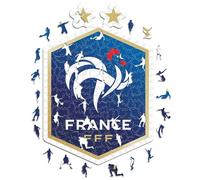 Iconic Puzzles, Logotipo de Equipo de Francia, Rompecabezas de Madera 100% ecológico con liciencia Oficial, Talla M, 270 Piezas