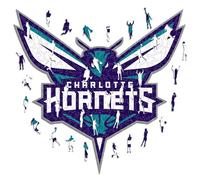 Iconic Puzzles NBA Puzzle de Madera, Color Charlotte Hornets, M, 270 Pcs (CharlotteHornets-M)