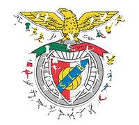 Iconic Puzzles Puzzle de Madera Wooden, Multicolor, Talla M