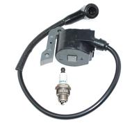ICOOYO Bobina de encendido para Oleo-Mac 956 962 965 TT162 Efco 156 162 165 TT962 50022007BR (versión antigua)