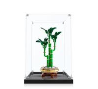 ICUANUTY Vitrina acrílica para Lego Botanicals 10344/10343, almacenamiento y organización a prueba de polvo para vitrina Lego, 20 x 20 x 35 cm (solo la caja)