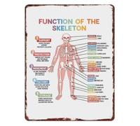 ICXLPMC Bones of The Body Metal Sign Educational Anatomy Diagram Wall-Art for Classroom Clinic Office Decor 8 X 12 in