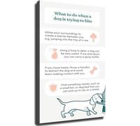 ICXLPMC Dog Bite Prevention Guide Canine Poster Educational Wall-Art for Pet Owners Home Decor Unframed,12x18inch(30x45cm)