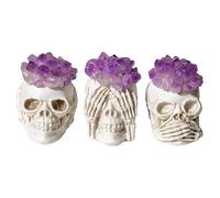 ICXLPMC Three Wise Skull with Amethyst Crystal Flower - Decor for Home, Office, and Spiritual