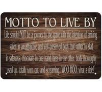ICYJRFHLTF Life Should Not Be a Journey to the Grave School Tin Sign Motto Wall Hanging for Living Room Entryway Home Office 8 X 12 in
