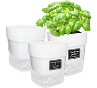iDattel Juego de 3 macetas para hierbas, 16 x 17,5 x 14 cm, con autoriego y almacenamiento de agua para hierbas frescas