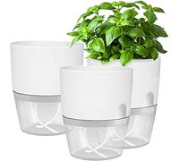 iDattel Juego de 3 macetas para hierbas aromáticas para cocina, 18,2 x 11 x 15,3 cm, para hierbas frescas, color blanco
