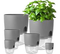 iDattel Macetero con sistema de riego, juego de 6 macetas para hierbas, para cocina, 23,5/15,3/10,5/8,2 cm, para hierbas frescas, color gris