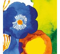 Ideal Home Range 20 Count Boston Internacional 3 Capas de Papel servilletas de Almuerzo, Marimekko JUHANNUSTAIKA