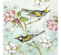 Ideal Home Range L904420 - Servilletas de papel para almuerzo, 20 unidades, diseño de pájaros, color verde