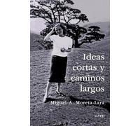 Ideas cortas y caminos largos: 7 (Langre)