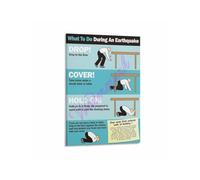 IDGTTLDF Disaster Preparedness Chart Metal Sign Earthquake Checklist Emergency Reference for Home School Office Wall-Art 8 X 12 in